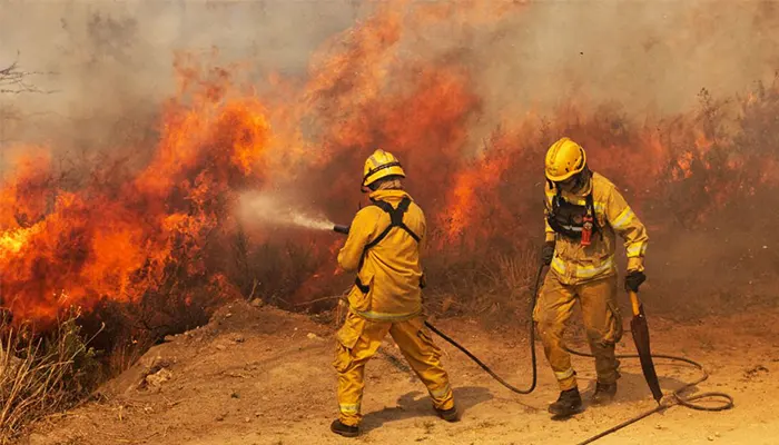 Wildlands Fire Fighting